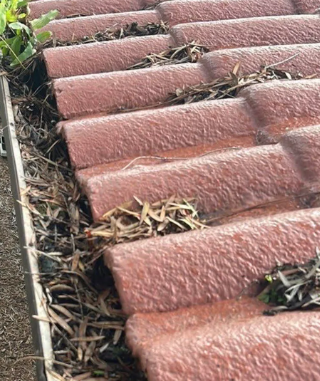 Mexican tiles next to gutter over run with leaves